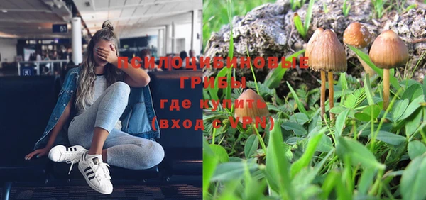 a pvp Богданович