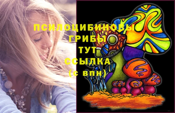 2c-b Балахна