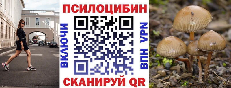 купить закладку  Великие Луки  Псилоцибиновые грибы мухоморы 